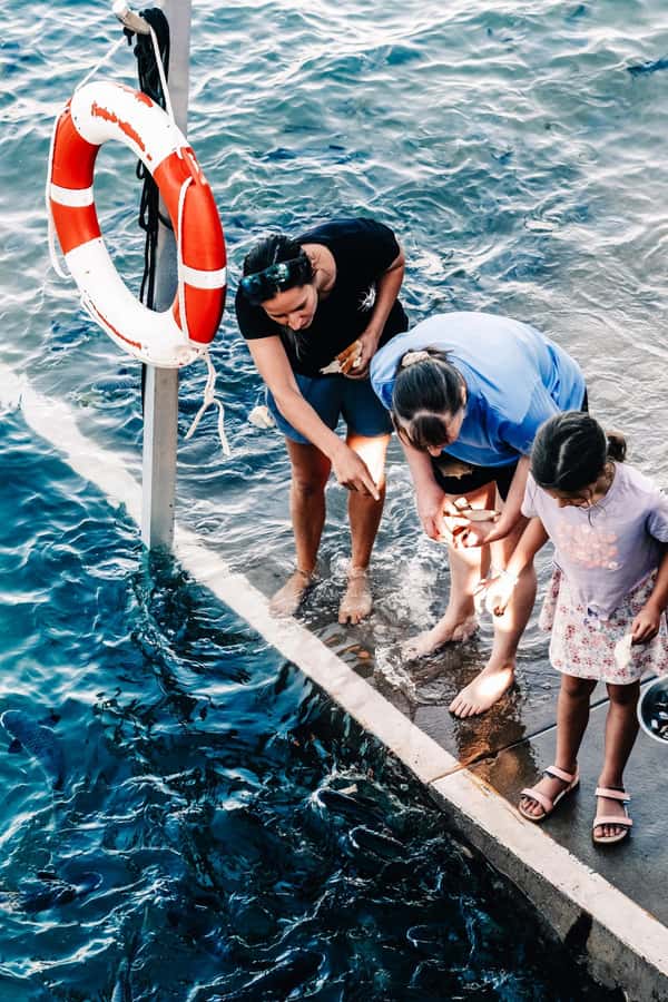 Darwin: Aquascene Fish Feeding Experience - Key things to know before you go