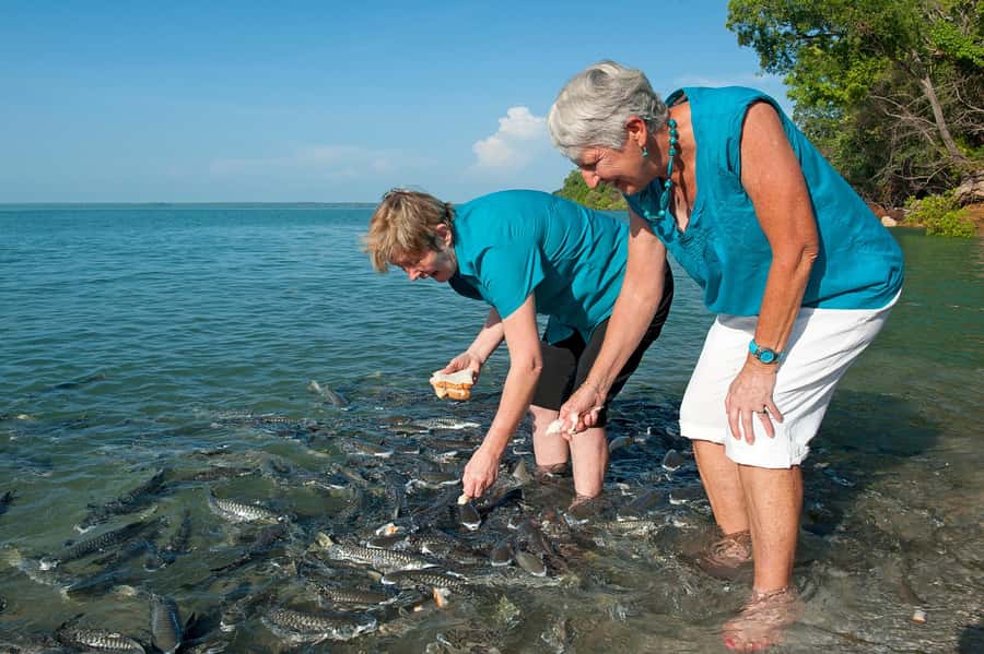 Darwin: Aquascene Fish Feeding Experience - Entering Aquascene: Meeting point and how the 3 hours usually go