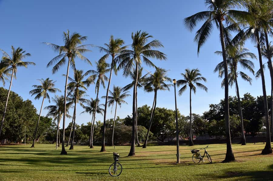 Darwin: Big Bus Open-Top Hop-on Hop-off Tour - What to bring (and what to avoid) so the tour actually feels smooth