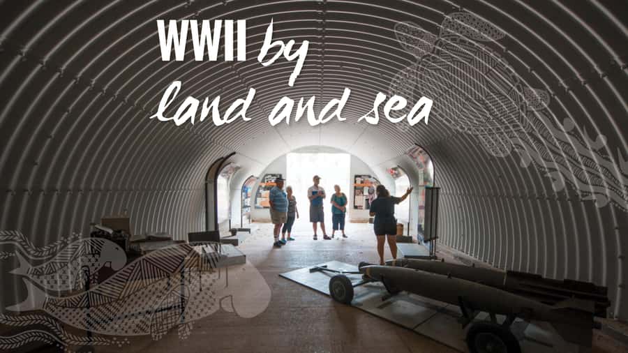 Darwin: Bombing of Darwin WW2 Tour with Harbor Cruise - SS Neptuna and USS Peary wreck sites: what you can expect
