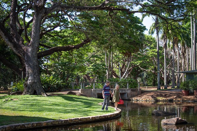 Darwin: City Sights and Jumping Crocodile Cruise - Adelaide River crocodile cruise: how the jumping crocodiles fit the day