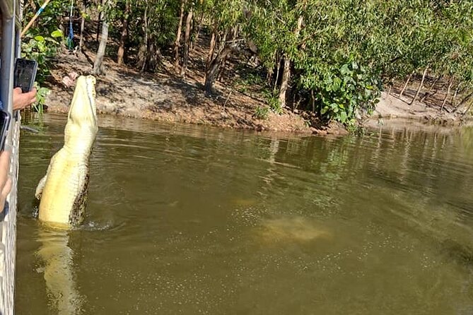 Darwin City Tour + Crocodile Cruise+Lunch Optional - Key highlights at a glance