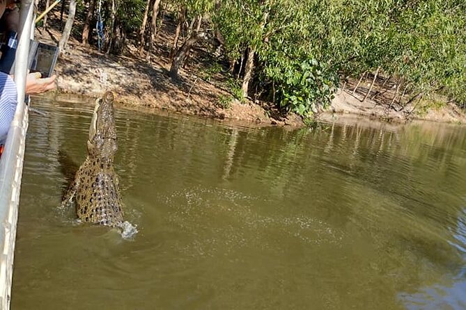 Darwin City Tour + Crocodile Cruise+Lunch Optional - A tight 3-hour Darwin plan that actually feels like a day out