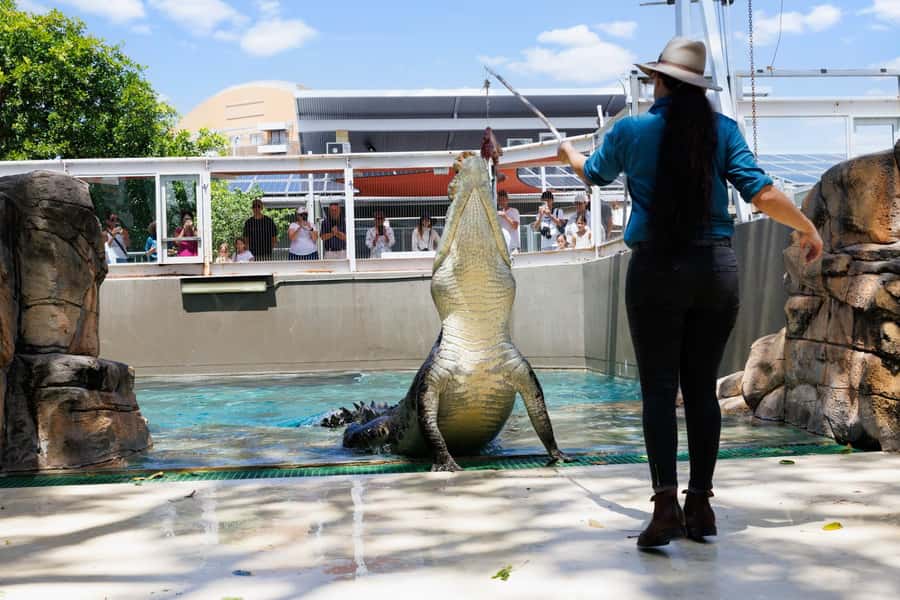 Darwin: Crocosaurus Cove and RFDS Entry - Key points before you go
