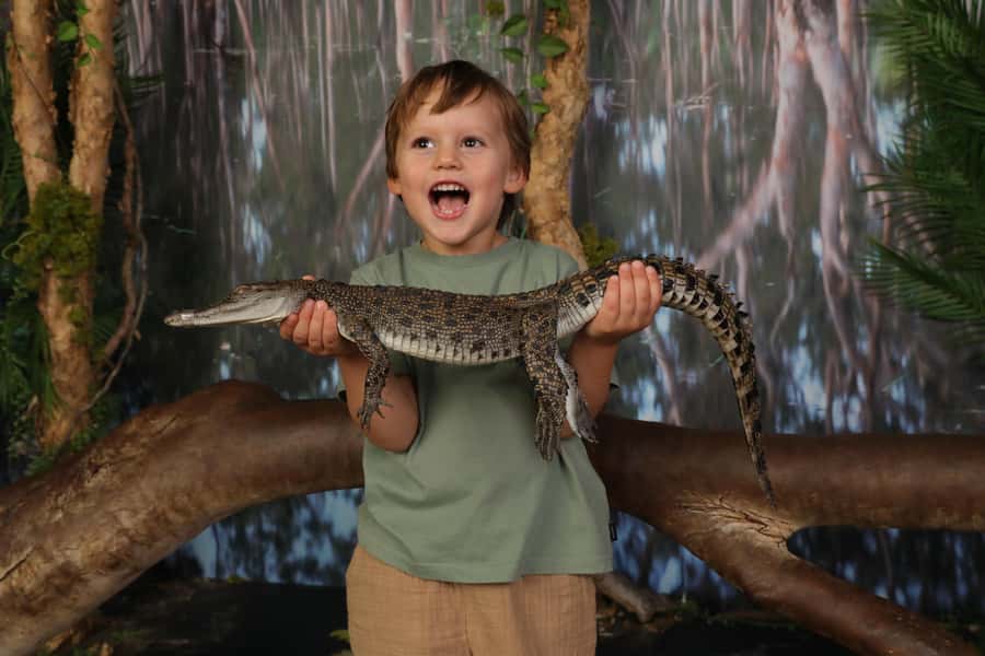 Darwin: Crocosaurus Cove and RFDS Entry - Making the most of your full-day entry (without burning out)