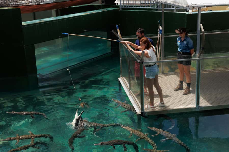 Darwin: Crocosaurus Cove and RFDS Entry - Royal Flying Doctors Service: heroism you can understand