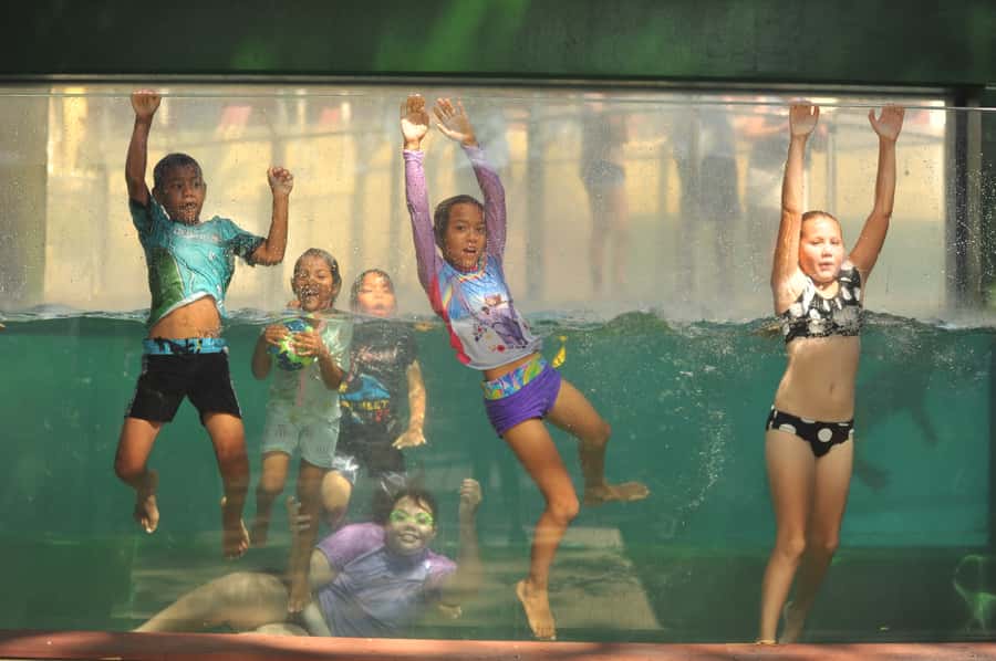 Darwin: Crocosaurus Cove and RFDS Entry - Value check: is $48 for two attractions a good deal?