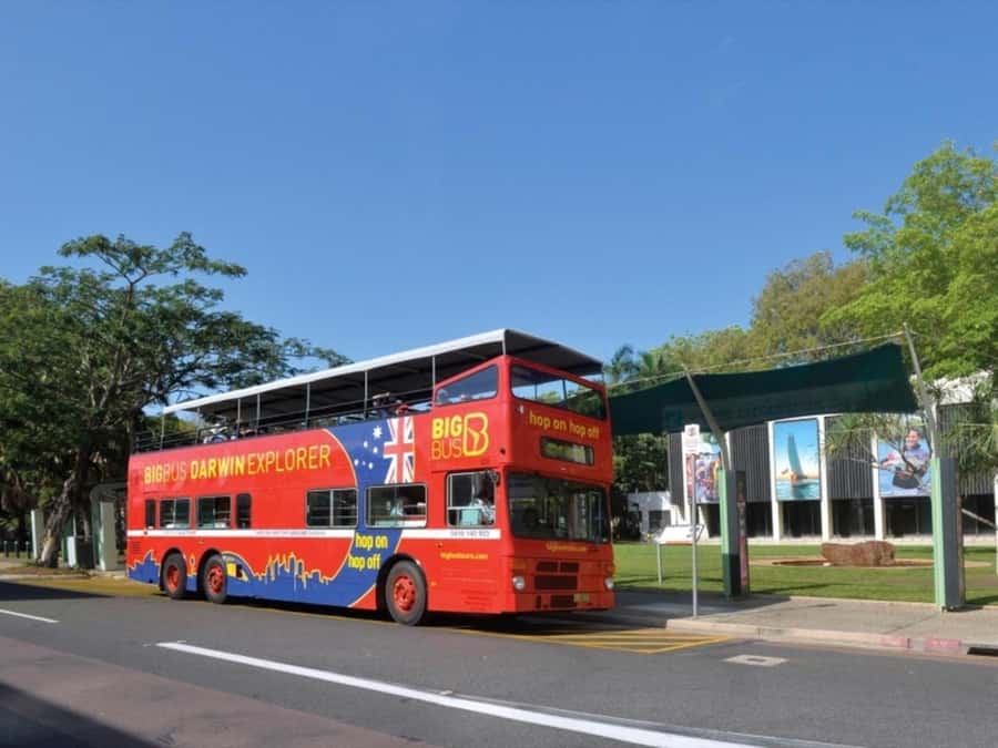 Darwin: Crocosaurus Cove Entry & Hop-on-Hop-Off Bus Tour - Key Points You’ll Actually Care About