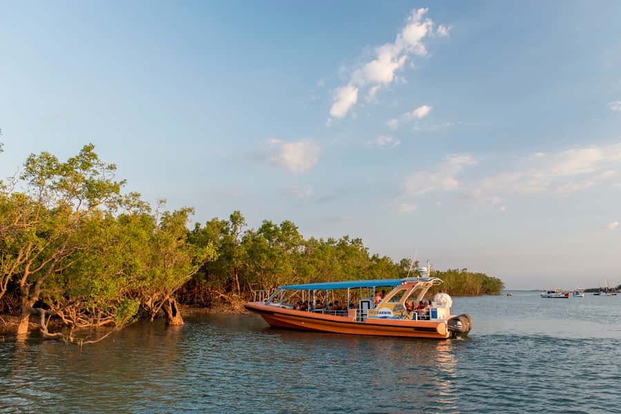 Darwin Harbour Cruise - Key things that make this Darwin Harbour cruise worth your hour