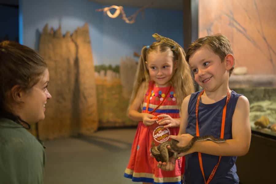 Darwin: Hop-On Hop-Off Bus, Crocosaurus Cove and RFDS Entry - Key things to know before you go