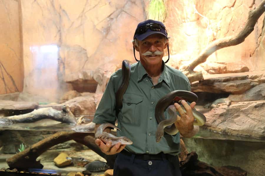 Darwin: Hop-On Hop-Off Bus, Crocosaurus Cove and RFDS Entry - Royal Flying Doctors Service and Bombing of Darwin Harbor: what modern tech adds