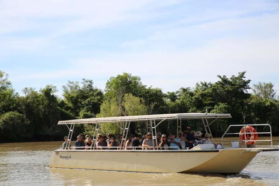Darwin: Jumping Crocodile Adventure Cruise with Lunch - Why the Adelaide River Crocs Feel Different Than Most Wildlife Trips