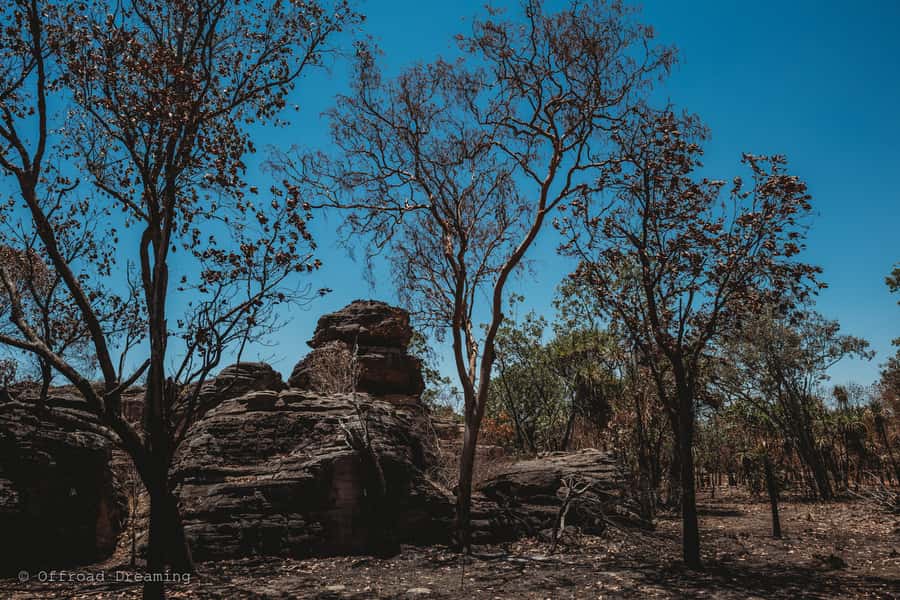 Darwin: Kakadu National Park Day Tour with Lunch - Price and logistics: is $240 AUD good value?