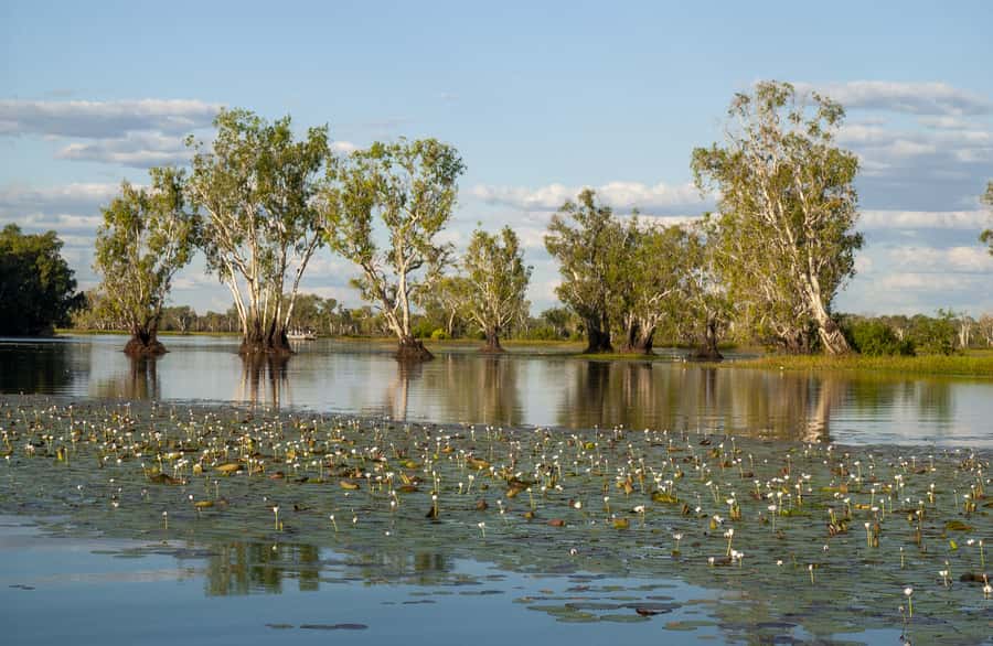 Darwin: Kakadu National Park Day Trip - Quick Takeaways