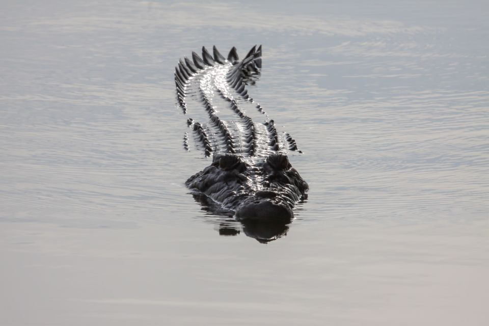Darwin: Kakadu National Park Day Trip - Price and Value: Does $636 Make Sense?