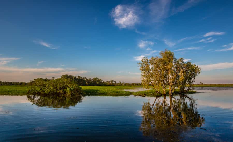 Darwin: Kakadu National Park Day Trip - Small-Plane Seating Tip: Avoid Wings Blocking Your Views
