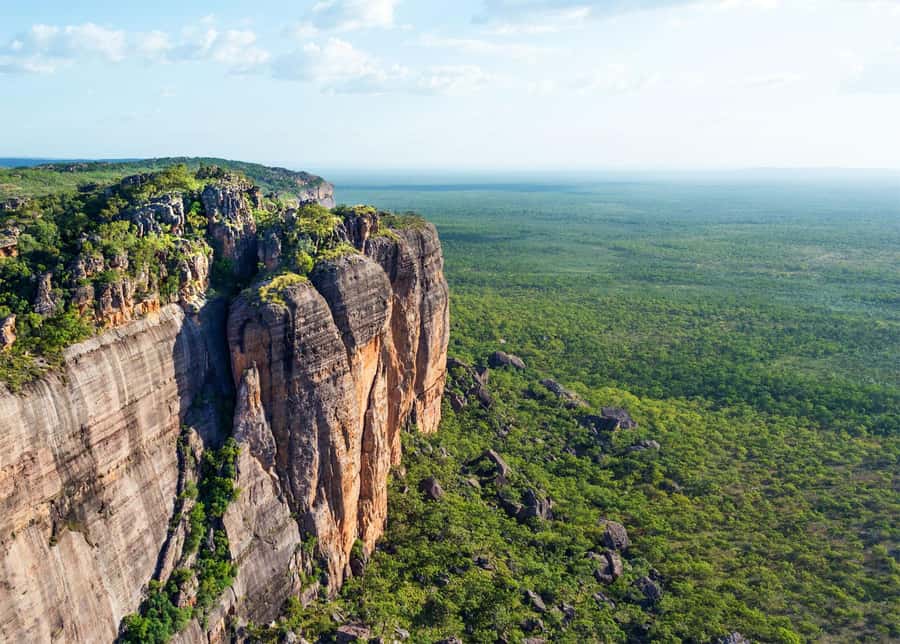 Darwin: Kakadu National Park Day Trip - The Yellow Water Billabong Cruise: Wildlife, Reeds, and Croc-Spotting
