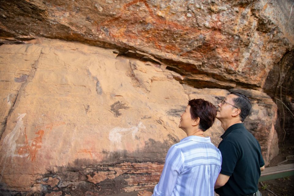 Darwin: Kakadu & Nourlangie Day Trip Plus Billabong Cruise - Price and value: is $265 a fair deal?