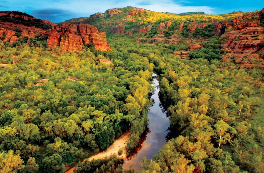 Darwin: Kakadu & Nourlangie Day Trip Plus Billabong Cruise - Getting moving from Darwin: coach comfort and pacing