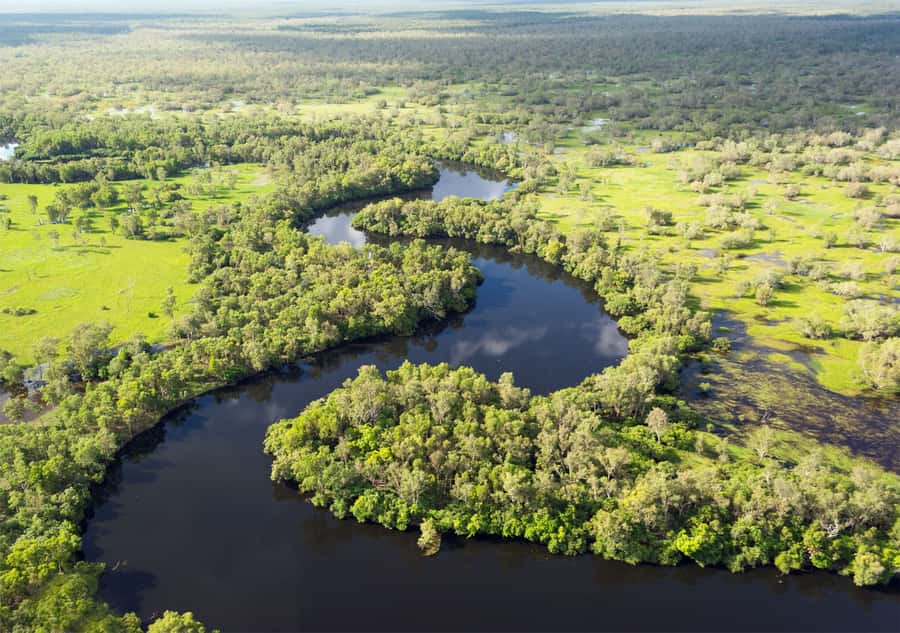 Darwin: Kakadu & Ubirr Cultural Experience - Who This Tour Fits Best (And Who Should Think Twice)