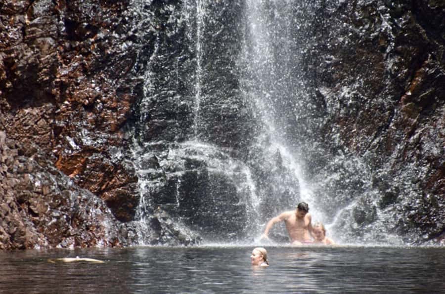 Darwin: Litchfield, Crocodile Cruise and Sunset Tour - Key highlights worth planning around