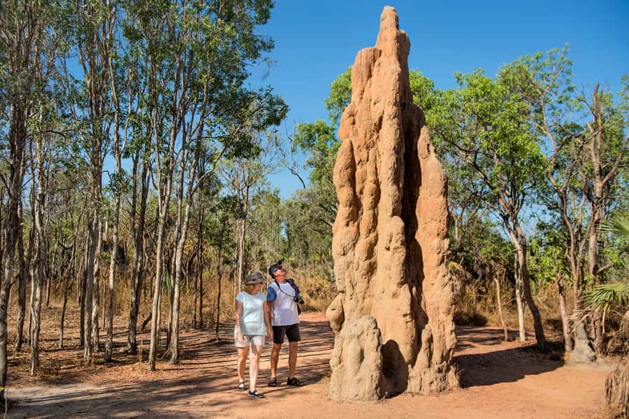 Darwin: Litchfield National Park Waterfalls & Wildlife Tour - What you pay for: value at $113 and what costs extra