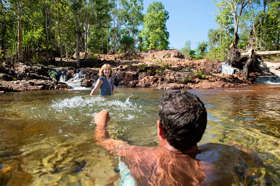 Darwin: Litchfield National Park Waterfalls & Wildlife Tour - The driver-guide factor: why the right commentary matters