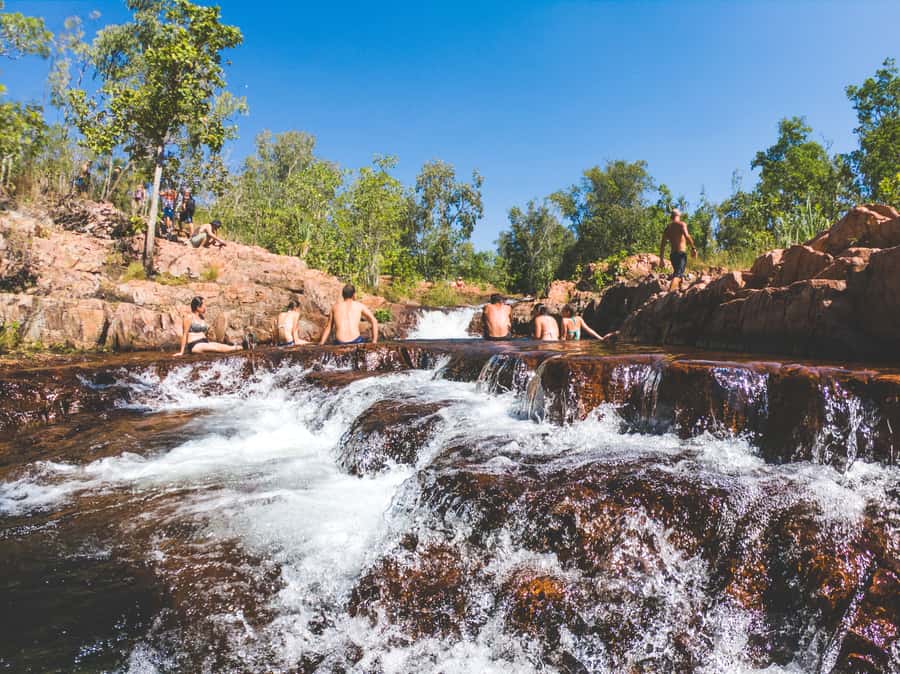 Darwin: Litchfield National Park Waterfalls & Wildlife Tour - Jumping Crocodiles on the Adelaide River: optional, but memorable
