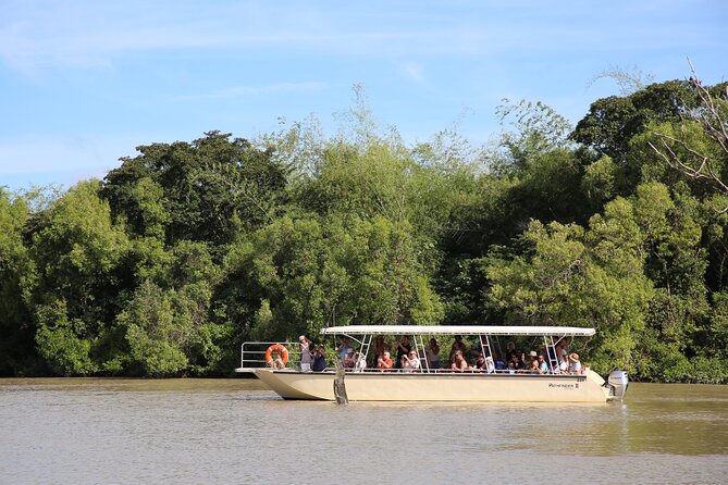 Darwin: Pathfinder Original Jumping Crocodile Cruise - Weather and Croc Cooperation: What Can Affect Your Hour