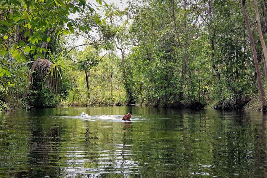 Darwin: Premium Litchfield Regional Small Group Day Tour - Buley Rockhole and the Tabletop Wetland area: short walks, big payoff