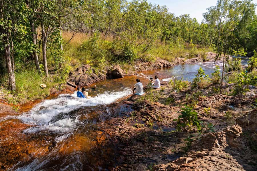 Darwin: Premium Litchfield Regional Small Group Day Tour - Transport, small-group vibe, and why the guide matters
