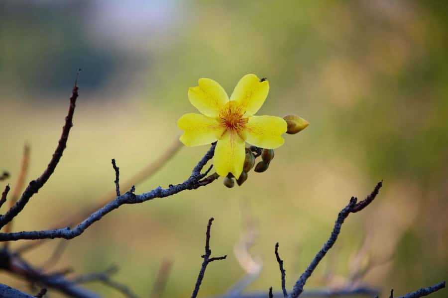 Darwin: Premium Litchfield Regional Small Group Day Tour - What to bring (and what you can skip)
