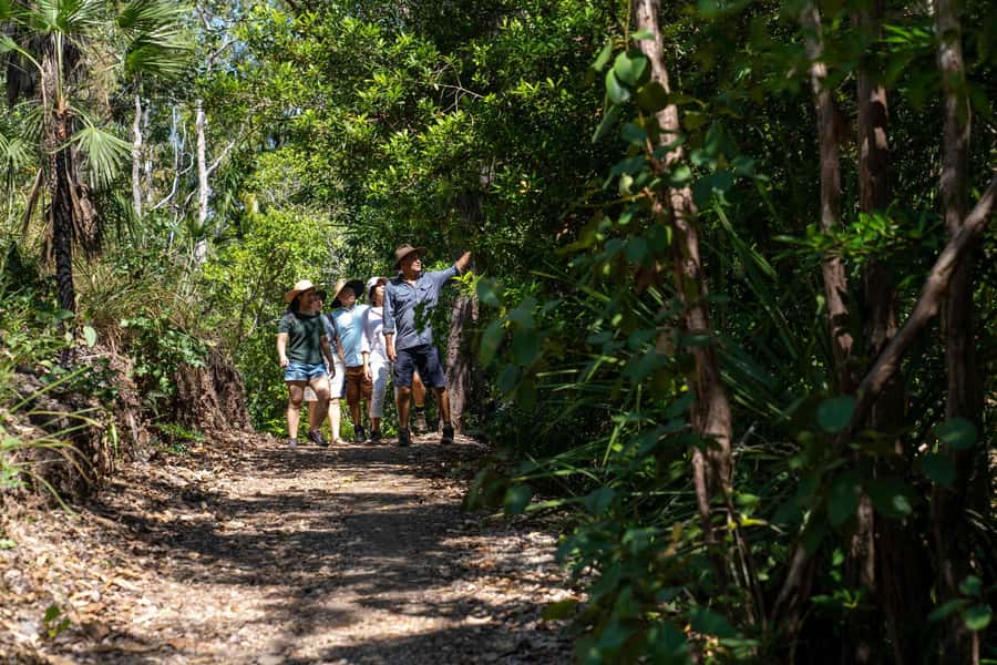 Darwin: Premium Litchfield Regional Small Group Day Tour - Who this tour suits best (and who should rethink it)
