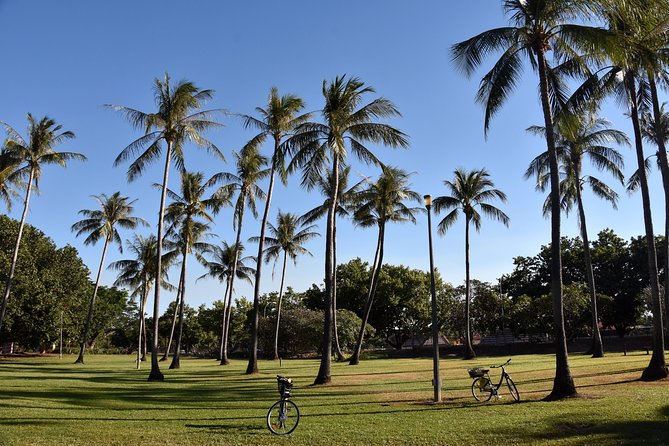 Darwin Shore Excursion: Hop-on Hop-off Bus Tour - Botanic Gardens: a calmer pause from the heat