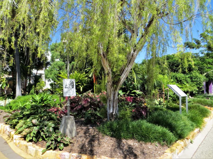 Darwin: Small Group 2-Hour Heritage Walk - Key highlights worth planning for