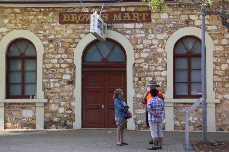 Darwin: Small Group 2-Hour Heritage Walk - World War II and Cyclone Tracy: history you can actually point to