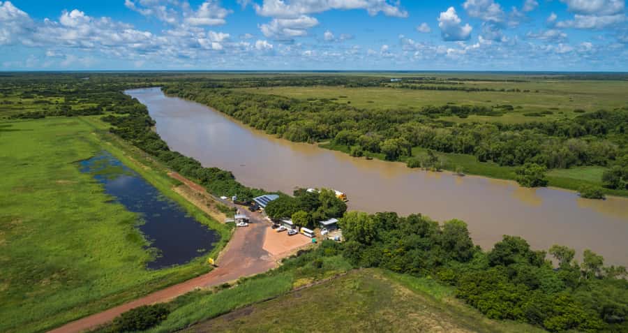 Darwin: Spectacular Jumping Crocodile Adelaide River Cruise - Why Adelaide River Crocs Feel This Close Without Turning Risky