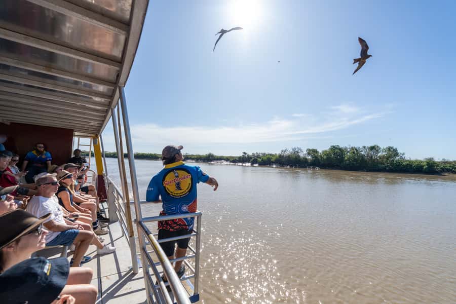 Darwin: Spectacular Jumping Crocodile Adelaide River Cruise - Wildlife-Spotting From the River: Birds, Bats, and Even Sharks