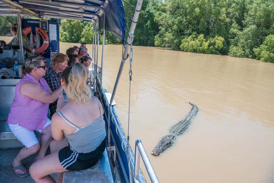 Darwin: Spectacular Jumping Crocodile Adelaide River Cruise - Your 1-Hour Cruise Setup: Covered Comfort, Quick Timing, Real Safety