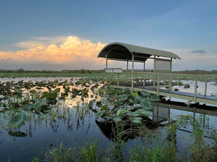Darwin: The Croc Bus to the Famous Jumping Crocodile Cruise - FAQ