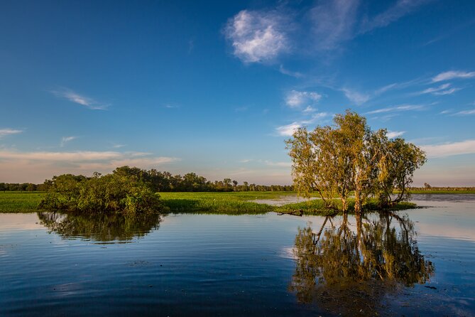 Darwin to Kakadu Day Trip by Air Including Yellow Water Cruise - Yellow Water River Cruise: crocodiles, birds, and a slower pace on the water
