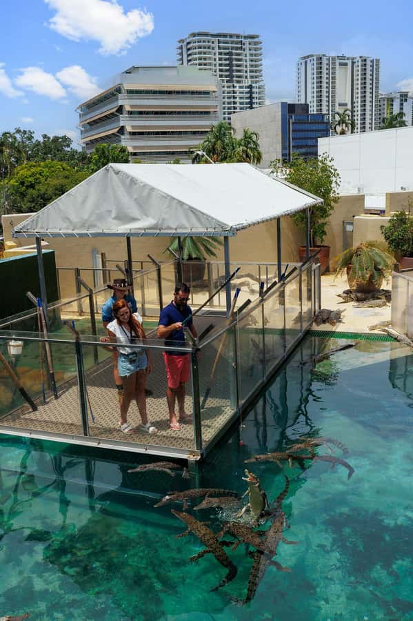 Darwin: VIP Crocosaurus Cove Experience - Stop 4: the reptile house walk-through with snakes and lizards