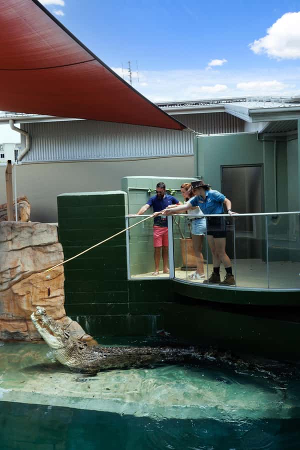 Darwin: VIP Crocosaurus Cove Experience - Meeting your handlers and setting expectations for safe interactions