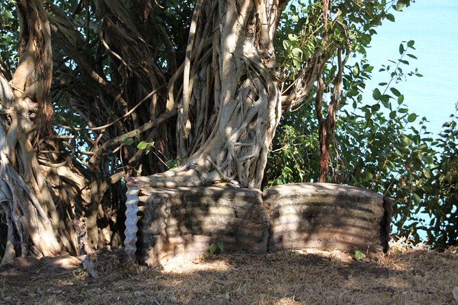 Darwin Walking Tour: World War II Reflections - Meeting point and route: how you’ll actually experience it