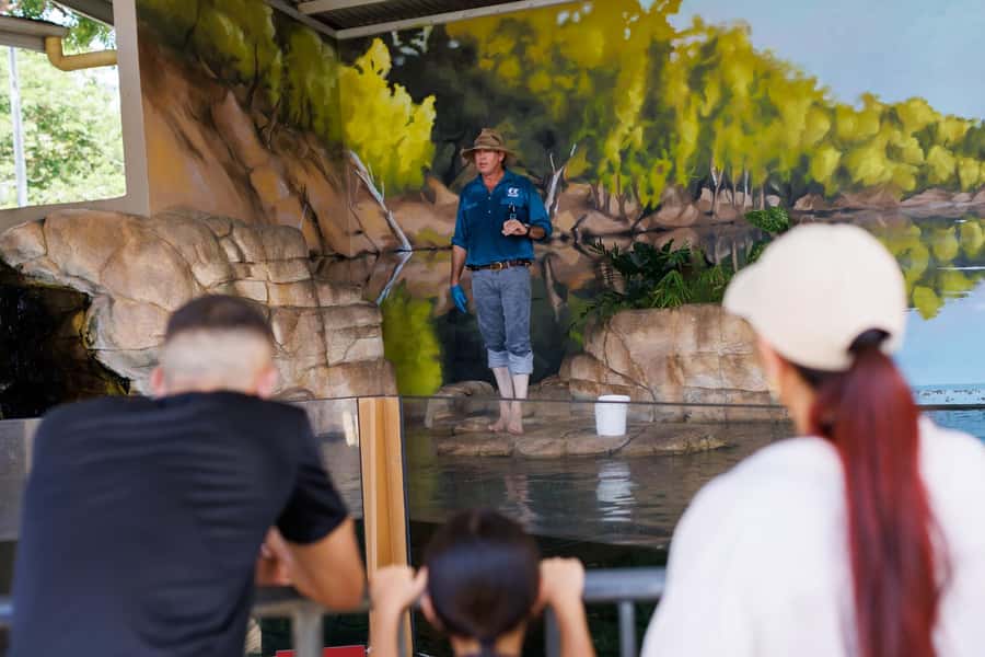 Darwin: Whipray Encounter with Entry to Crocosaurus Cove - Whipray feeding in Darwin: what the 30 minutes is really like