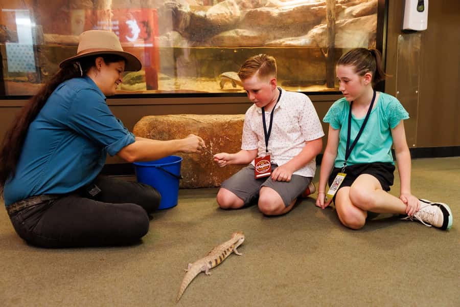 Darwin: Whipray Encounter with Entry to Crocosaurus Cove - Safety and handler guidance: why the small group matters