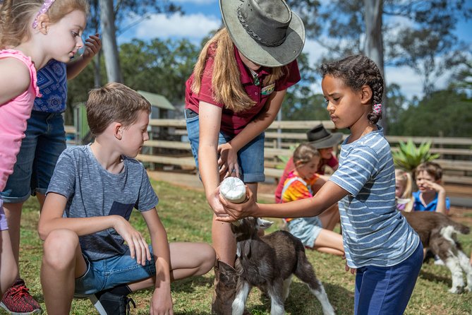 Day Entry ticket - Tractor ride around the farm: the highlight that keeps paying off