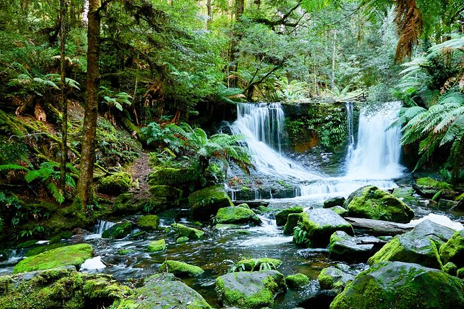 Day Tour in Mt. Field, Mt. Wellington, Bonorong Wildlife Sanctuary and Richmond - A Small-Group 9-Hour Circuit Around Hobart