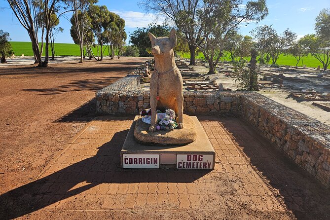 Day Tour in Wave Rock and Mulka's Cave - Wave Rock: Where the Giant Stone Actually Fits Your Day