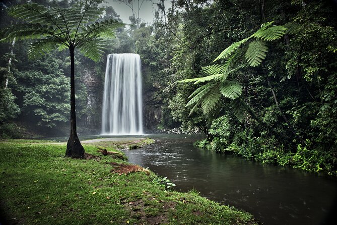 Day Tour to Paronella Park, Lake Barrine and Millaa Millaa Falls - Millaa Millaa Falls: Swim Time, Slippery Rocks, and Refreshing Water